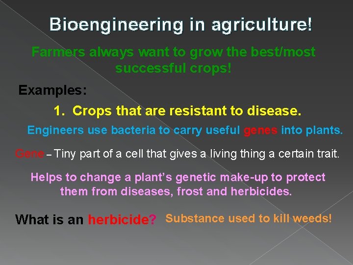 Bioengineering in agriculture! Farmers always want to grow the best/most successful crops! Examples: 1.