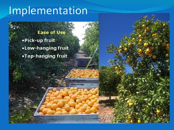 Implementation Ease of Use • Pick-up fruit • Low-hanging fruit • Top-hanging fruit 