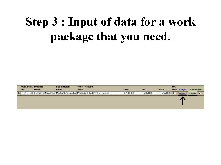 Step 3 : Input of data for a work package that you need. 