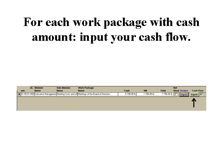 For each work package with cash amount: input your cash flow. 