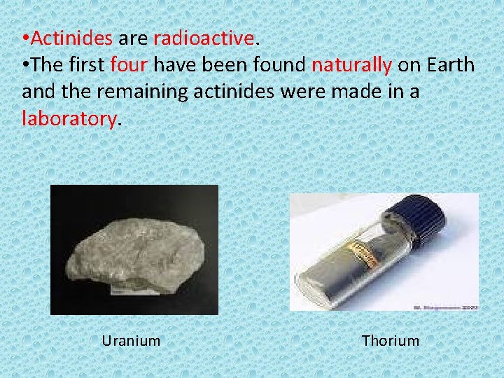  • Actinides are radioactive. • The first four have been found naturally on