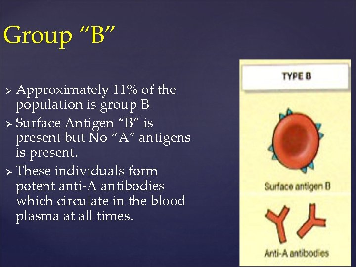 Group “B” Approximately 11% of the population is group B. Ø Surface Antigen “B”