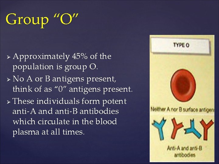 Group “O” Approximately 45% of the population is group O. Ø No A or