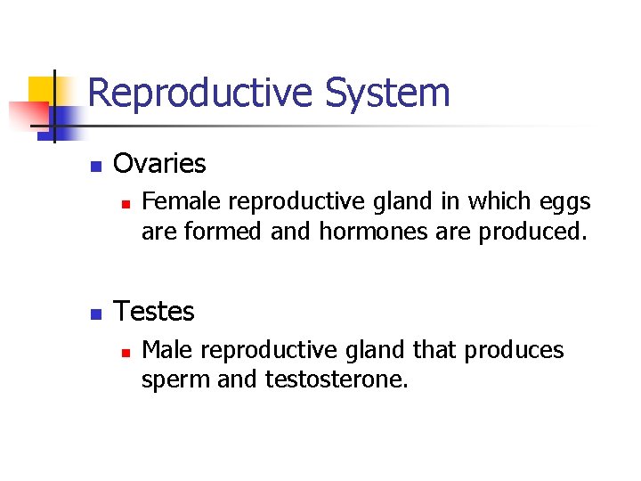 Reproductive System n Ovaries n n Female reproductive gland in which eggs are formed