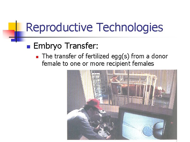 Reproductive Technologies n Embryo Transfer: n The transfer of fertilized egg(s) from a donor