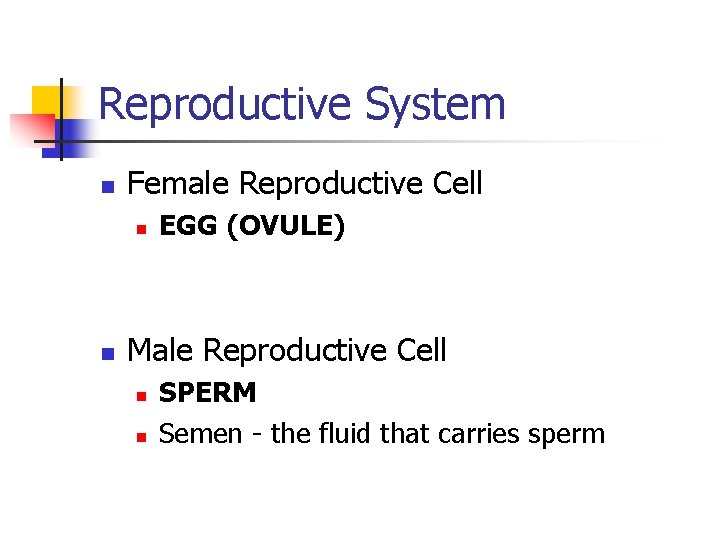 Reproductive System n Female Reproductive Cell n n EGG (OVULE) Male Reproductive Cell n