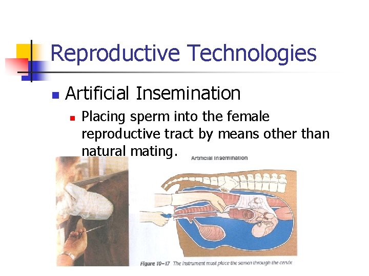 Reproductive Technologies n Artificial Insemination n Placing sperm into the female reproductive tract by