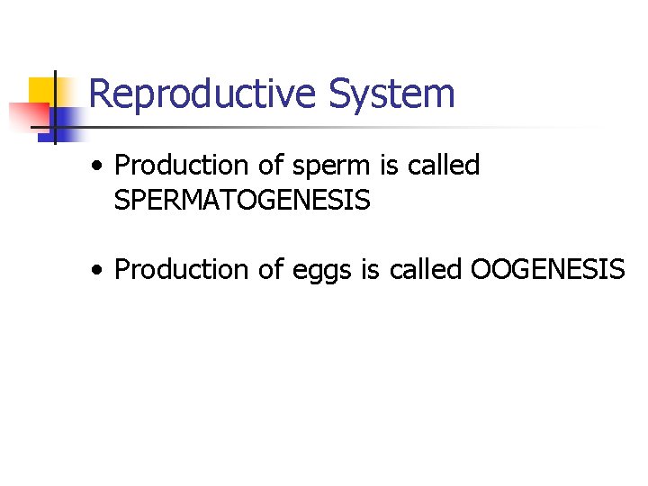 Reproductive System • Production of sperm is called SPERMATOGENESIS • Production of eggs is
