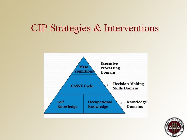 CIP Strategies & Interventions 