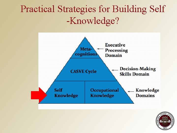 Practical Strategies for Building Self -Knowledge? 