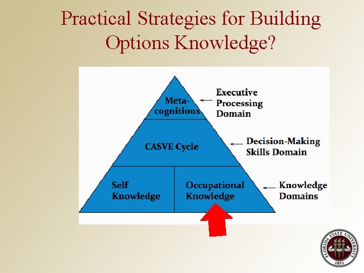 Practical Strategies for Building Options Knowledge? 