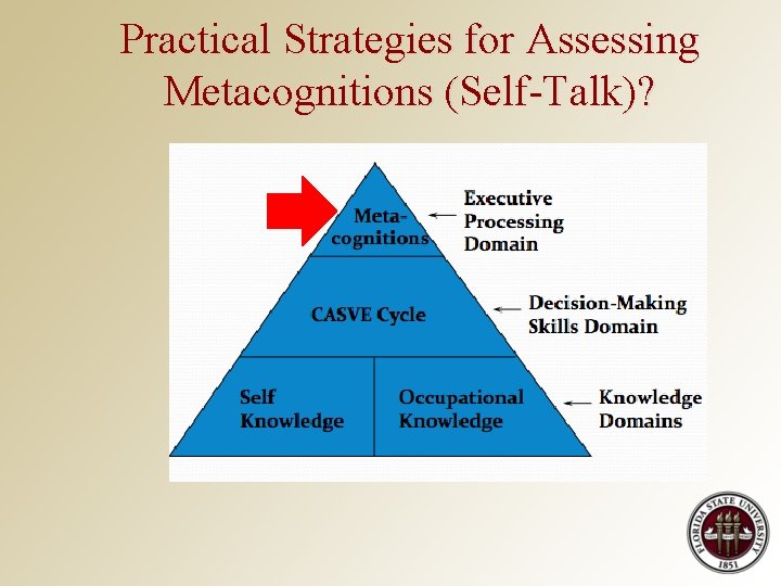 Practical Strategies for Assessing Metacognitions (Self-Talk)? 