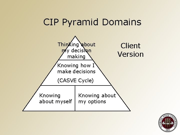 CIP Pyramid Domains Thinking about my decision making Knowing how I make decisions (CASVE
