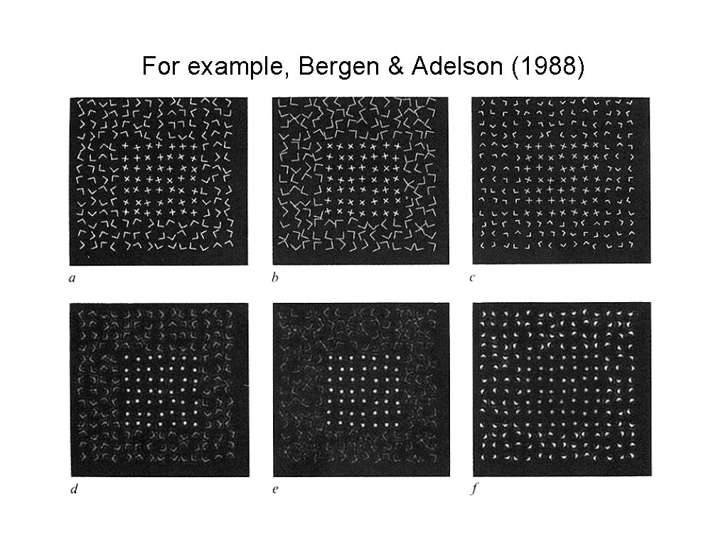 For example, Bergen & Adelson (1988) 