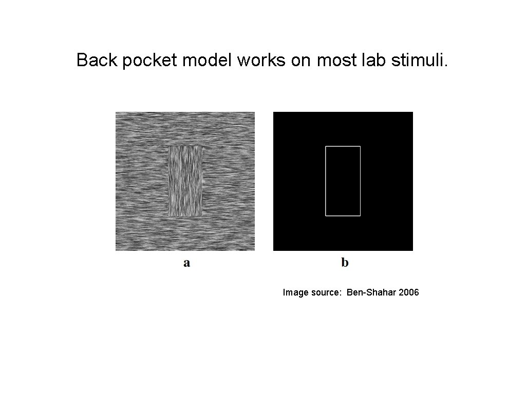 Back pocket model works on most lab stimuli. Image source: Ben-Shahar 2006 