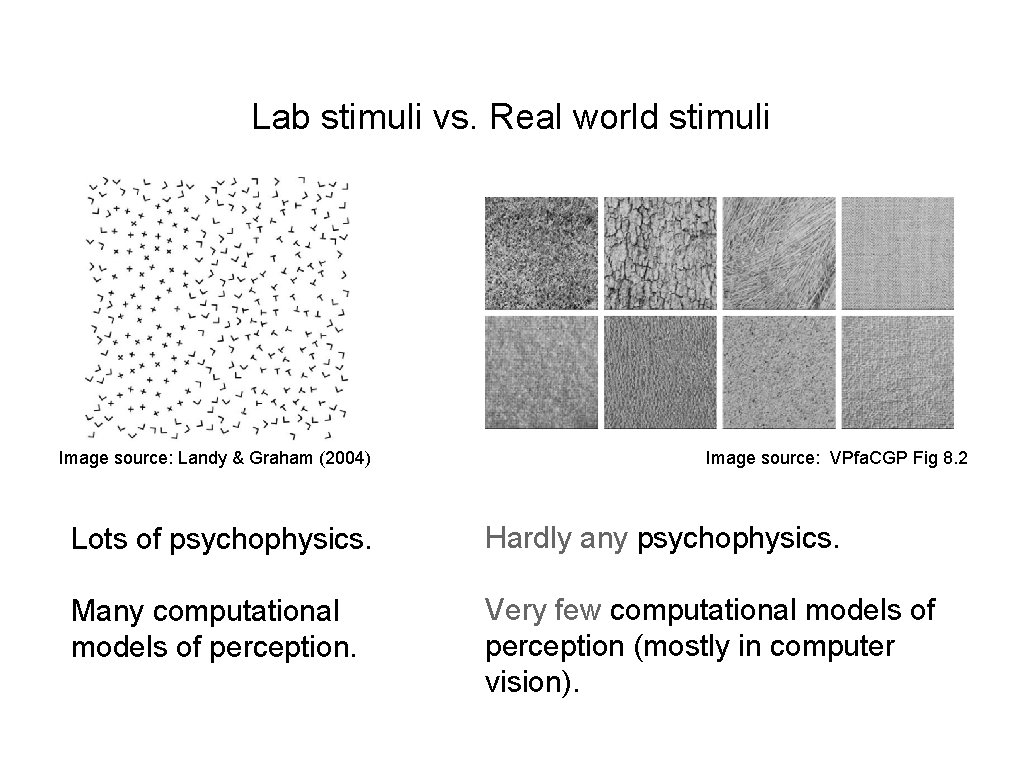 Lab stimuli vs. Real world stimuli Image source: Landy & Graham (2004) Image source: