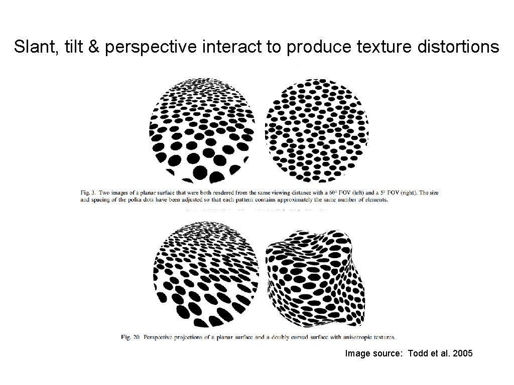 Slant, tilt & perspective interact to produce texture distortions Image source: Todd et al.