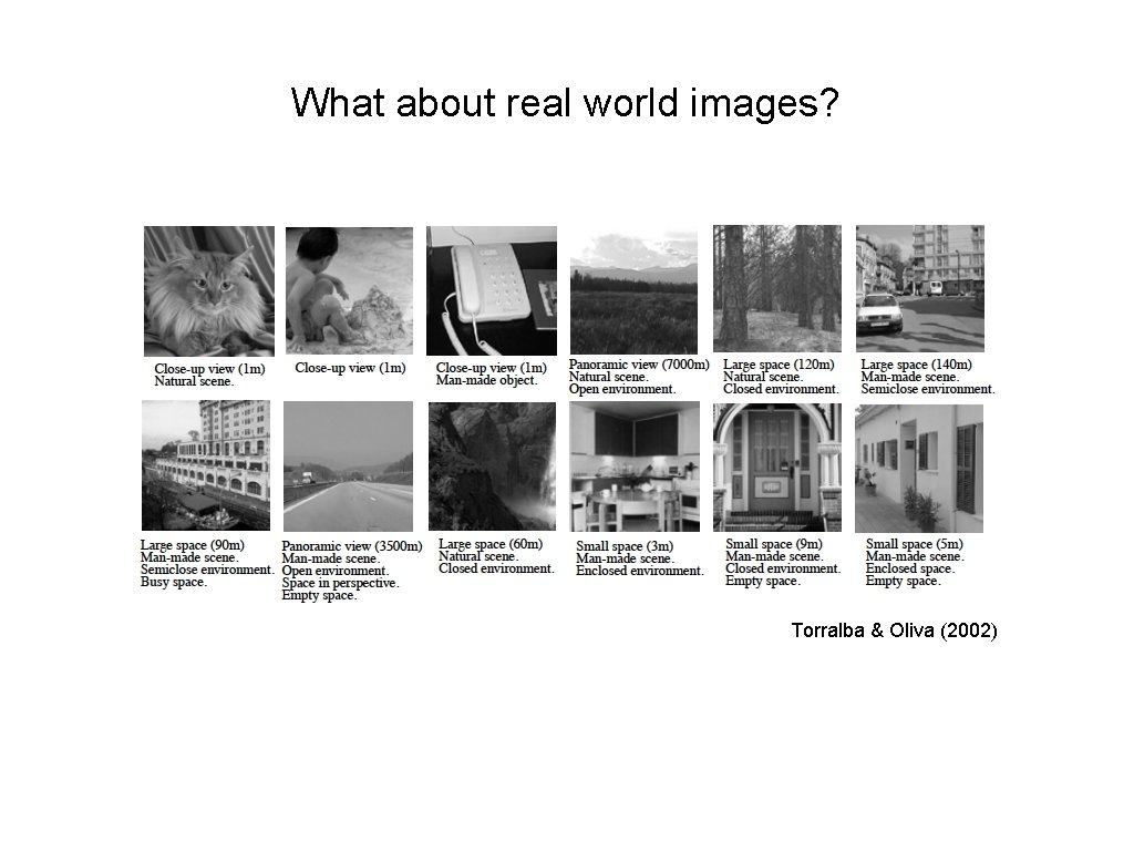 What about real world images? Torralba & Oliva (2002) 