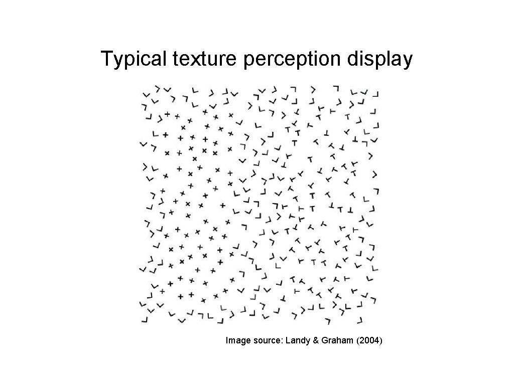 Typical texture perception display Image source: Landy & Graham (2004) 