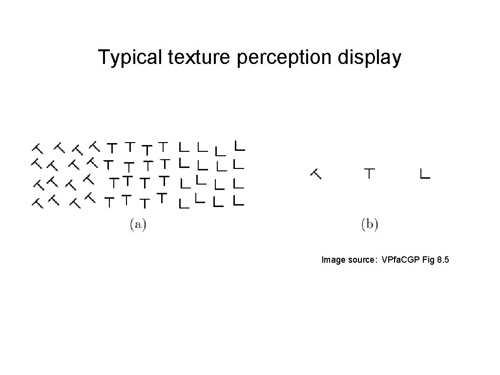 Typical texture perception display Image source: VPfa. CGP Fig 8. 5 