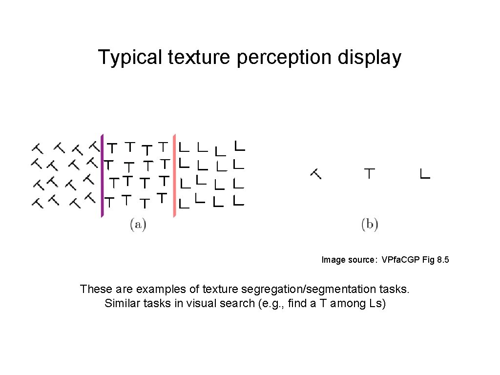 Typical texture perception display Image source: VPfa. CGP Fig 8. 5 These are examples