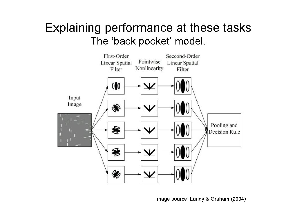 Explaining performance at these tasks The ‘back pocket’ model. Image source: Landy & Graham