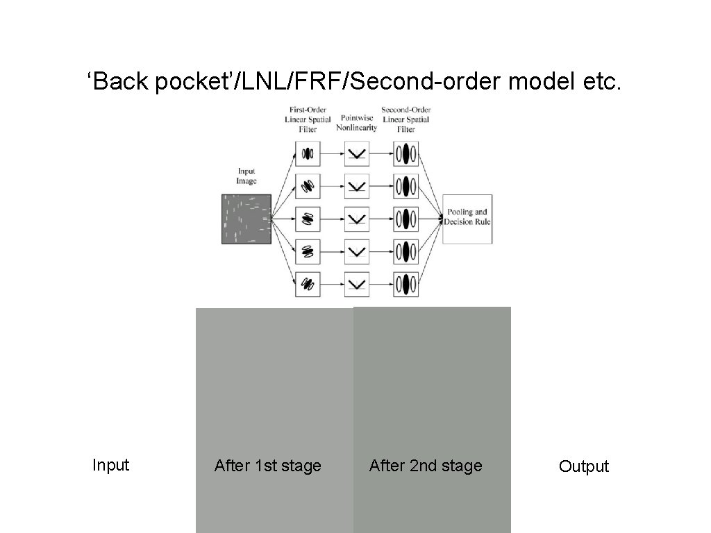 ‘Back pocket’/LNL/FRF/Second-order model etc. Input After 1 st stage After 2 nd stage Output