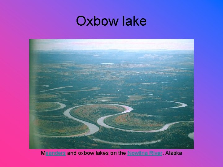 Oxbow lake Meanders and oxbow lakes on the Nowitna River, Alaska 