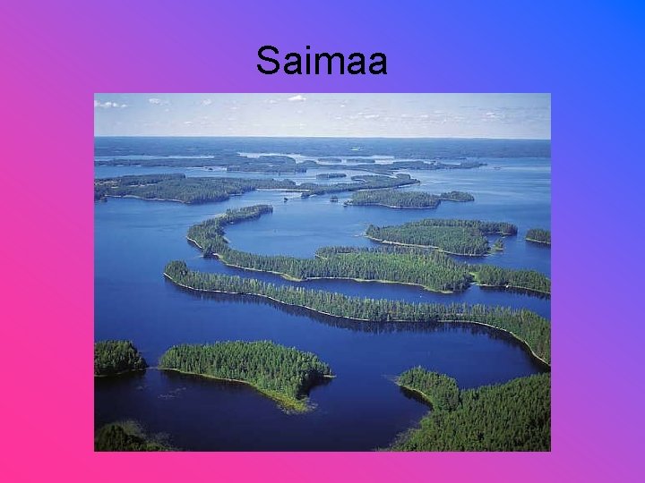 Saimaa 