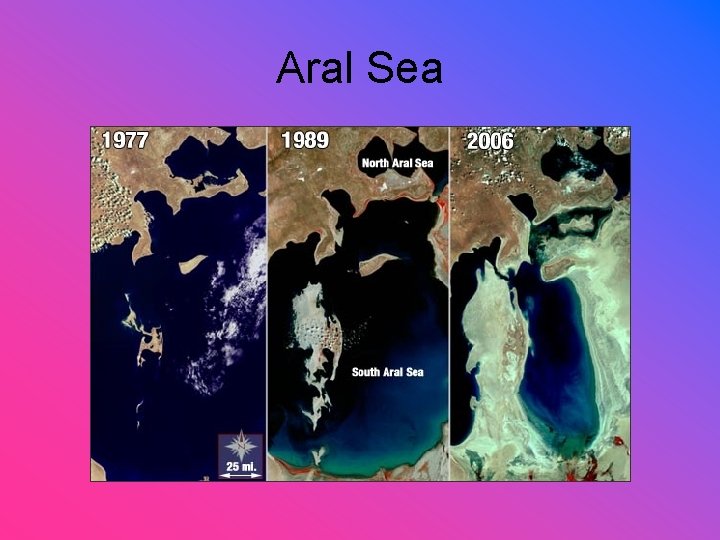 Aral Sea 
