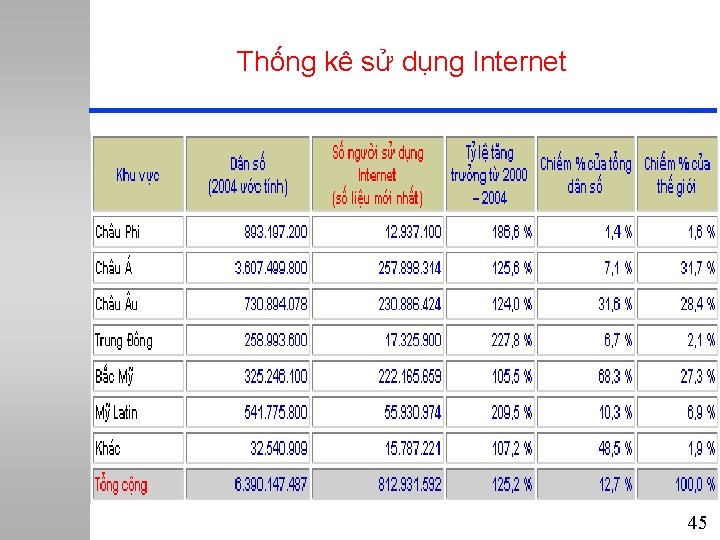 Thống kê sử dụng Internet 45 