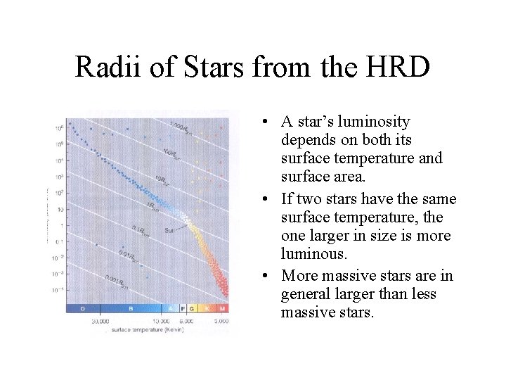 Radii of Stars from the HRD • A star’s luminosity depends on both its