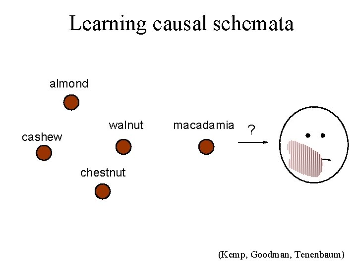 Learning causal schemata almond cashew walnut macadamia ? chestnut (Kemp, Goodman, Tenenbaum) 