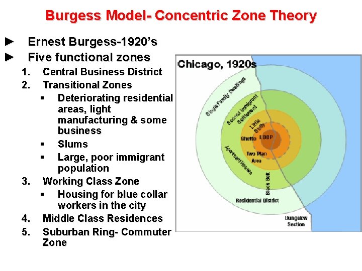 Burgess Model- Concentric Zone Theory ► Ernest Burgess-1920’s ► Five functional zones 1. 2. Burgess Model- Concentric Zone Theory ► Ernest Burgess-1920’s ► Five functional zones 1. 2.