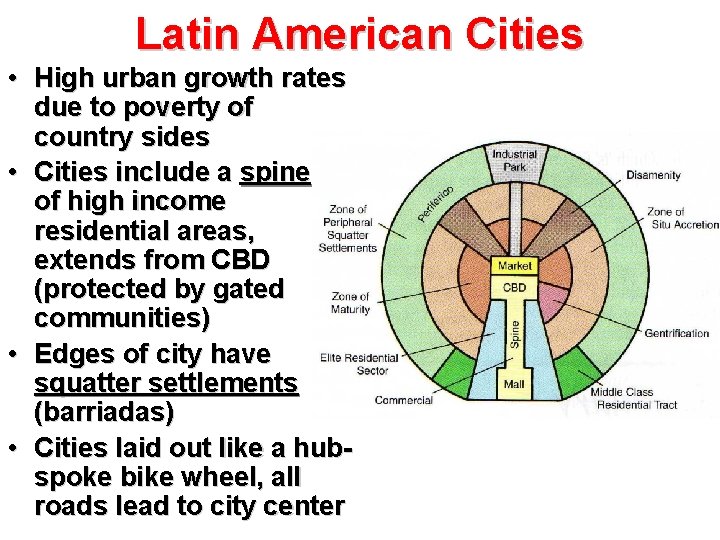 Latin American Cities • High urban growth rates due to poverty of country sides Latin American Cities • High urban growth rates due to poverty of country sides