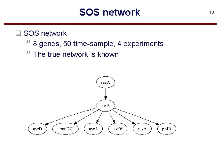 SOS network q SOS network } 8 genes, 50 time-sample, 4 experiments } The