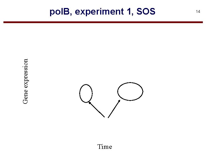 Gene expression pol. B, experiment 1, SOS Time 14 