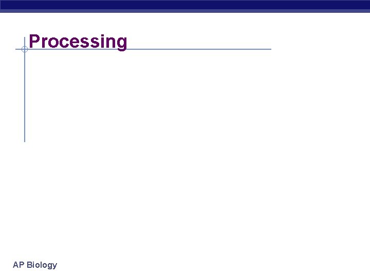Processing AP Biology 