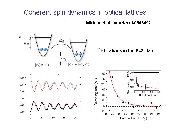 Coherent spin dynamics in optical lattices Widera et al. , cond-mat/0505492 atoms in the