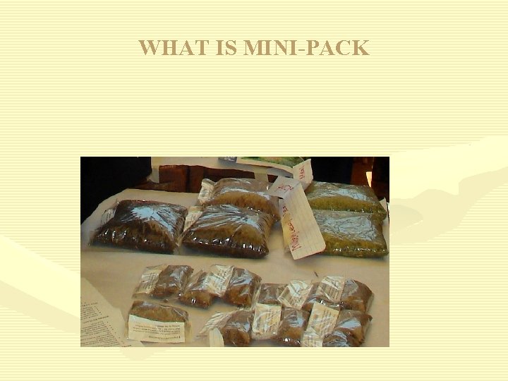 WHAT IS MINI-PACK 