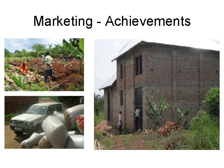 Marketing - Achievements 