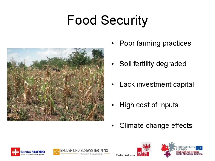 Food Security • Poor farming practices • Soil fertility degraded • Lack investment capital