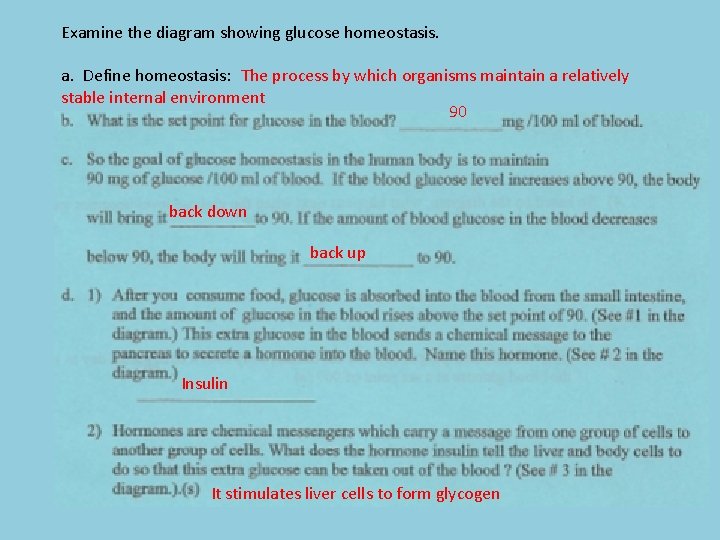 Examine the diagram showing glucose homeostasis. a. Define homeostasis: The process by which organisms