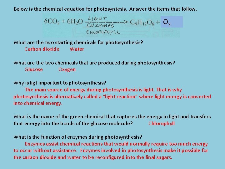 Below is the chemical equation for photosyntesis. Answer the items that follow. O 2