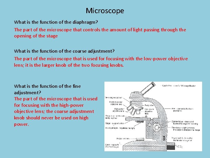 Microscope What is the function of the diaphragm? The part of the microscope that