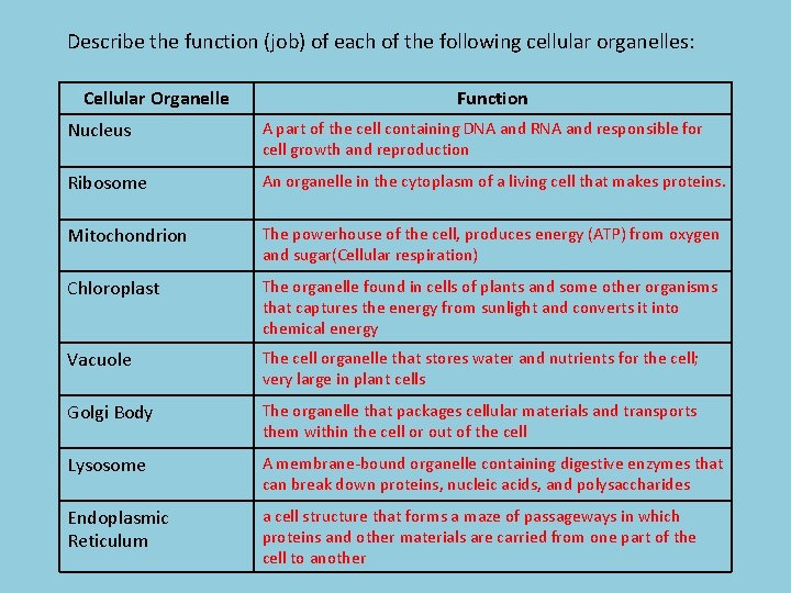 Describe the function (job) of each of the following cellular organelles: Cellular Organelle Function