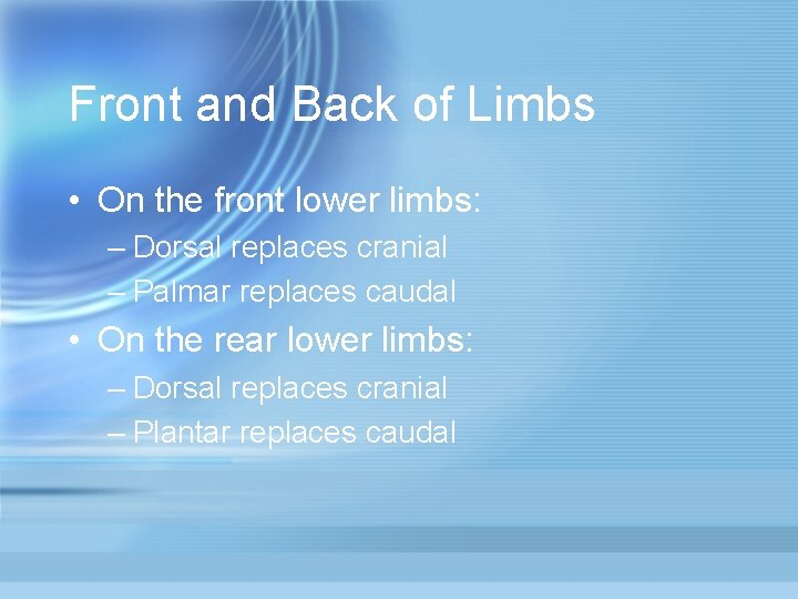 Front and Back of Limbs • On the front lower limbs: – Dorsal replaces