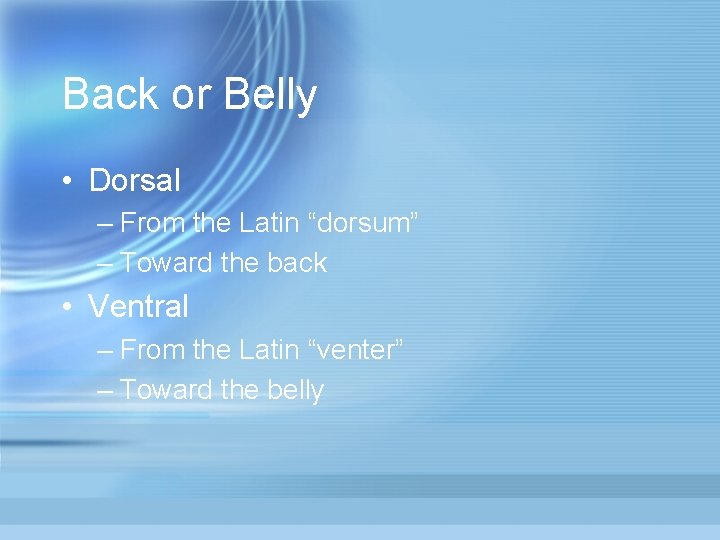 Back or Belly • Dorsal – From the Latin “dorsum” – Toward the back