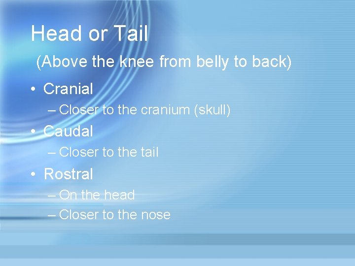 Head or Tail (Above the knee from belly to back) • Cranial – Closer