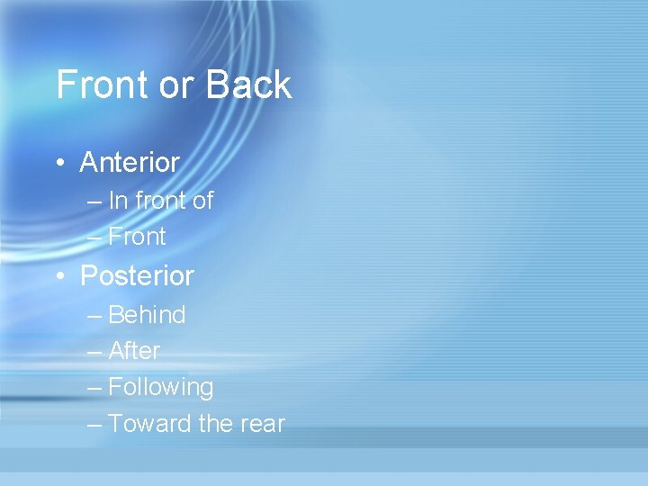 Front or Back • Anterior – In front of – Front • Posterior –